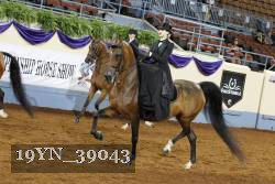 19YN_39043 thumbnail