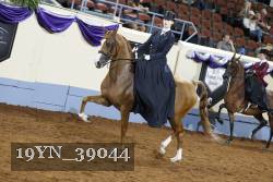 19YN_39044 thumbnail