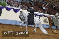 19YN_39046 thumbnail