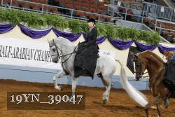 19YN_39047 thumbnail