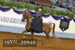 19YN_39049 thumbnail