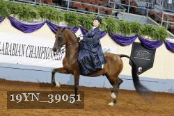 19YN_39051 thumbnail