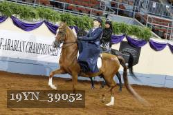 19YN_39052 thumbnail