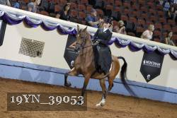 19YN_39053 thumbnail