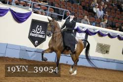 19YN_39054 thumbnail