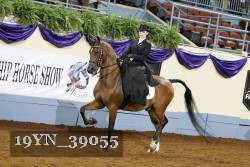 19YN_39055 thumbnail