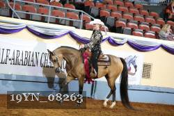 19YN_08263 thumbnail