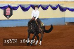 19YN_18006 thumbnail