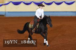 19YN_18007 thumbnail