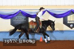 19YN_18009 thumbnail