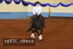 19YN_18012 thumbnail
