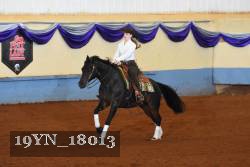 19YN_18013 thumbnail
