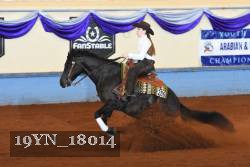 19YN_18014 thumbnail
