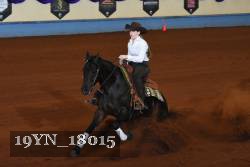 19YN_18015 thumbnail