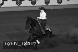 19YN_18017 thumbnail