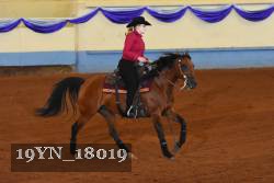19YN_18019 thumbnail