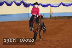 19YN_18020 thumbnail