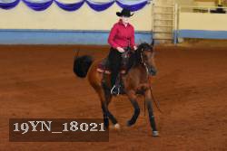 19YN_18021 thumbnail