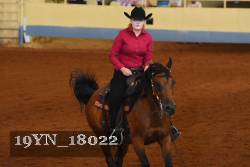 19YN_18022 thumbnail