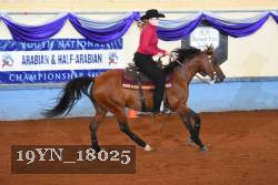 19YN_18025 thumbnail