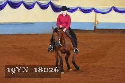 19YN_18026 thumbnail