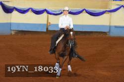 19YN_18033 thumbnail