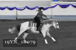 19YN_18079 thumbnail
