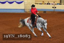 19YN_18083 thumbnail