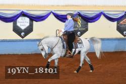 19YN_18101 thumbnail