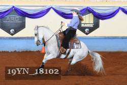 19YN_18102 thumbnail