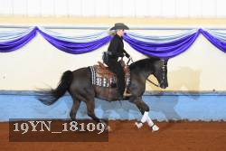 19YN_18109 thumbnail