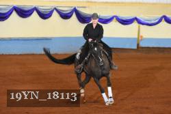19YN_18113 thumbnail