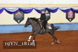 19YN_18114 thumbnail