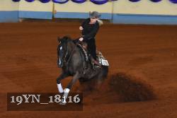 19YN_18116 thumbnail