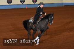19YN_18117 thumbnail