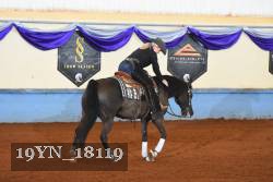19YN_18119 thumbnail