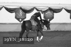19YN_18120 thumbnail