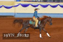 19YN_18122 thumbnail