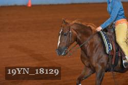 19YN_18129 thumbnail
