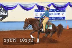 19YN_18132 thumbnail