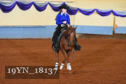 19YN_18137 thumbnail