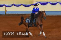 19YN_18140 thumbnail