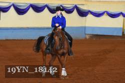 19YN_18142 thumbnail