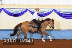 19YN_18149 thumbnail