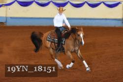 19YN_18151 thumbnail