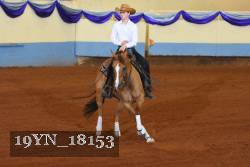 19YN_18153 thumbnail