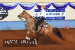 19YN_18154 thumbnail
