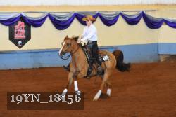 19YN_18156 thumbnail