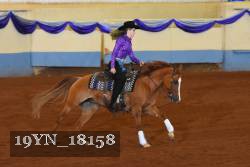 19YN_18158 thumbnail