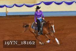 19YN_18162 thumbnail